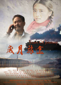 国内精品久久久久久久
